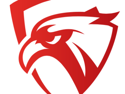 Nowe zasady projektu Team Poland od 1 stycznia 2018